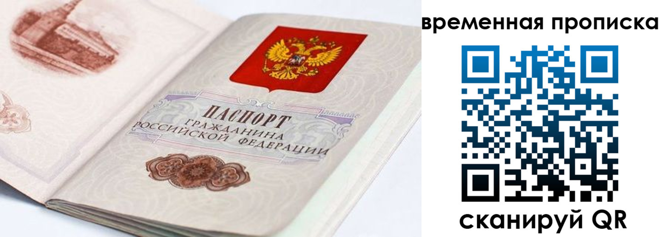прописка 2025 в Лодейном Поле